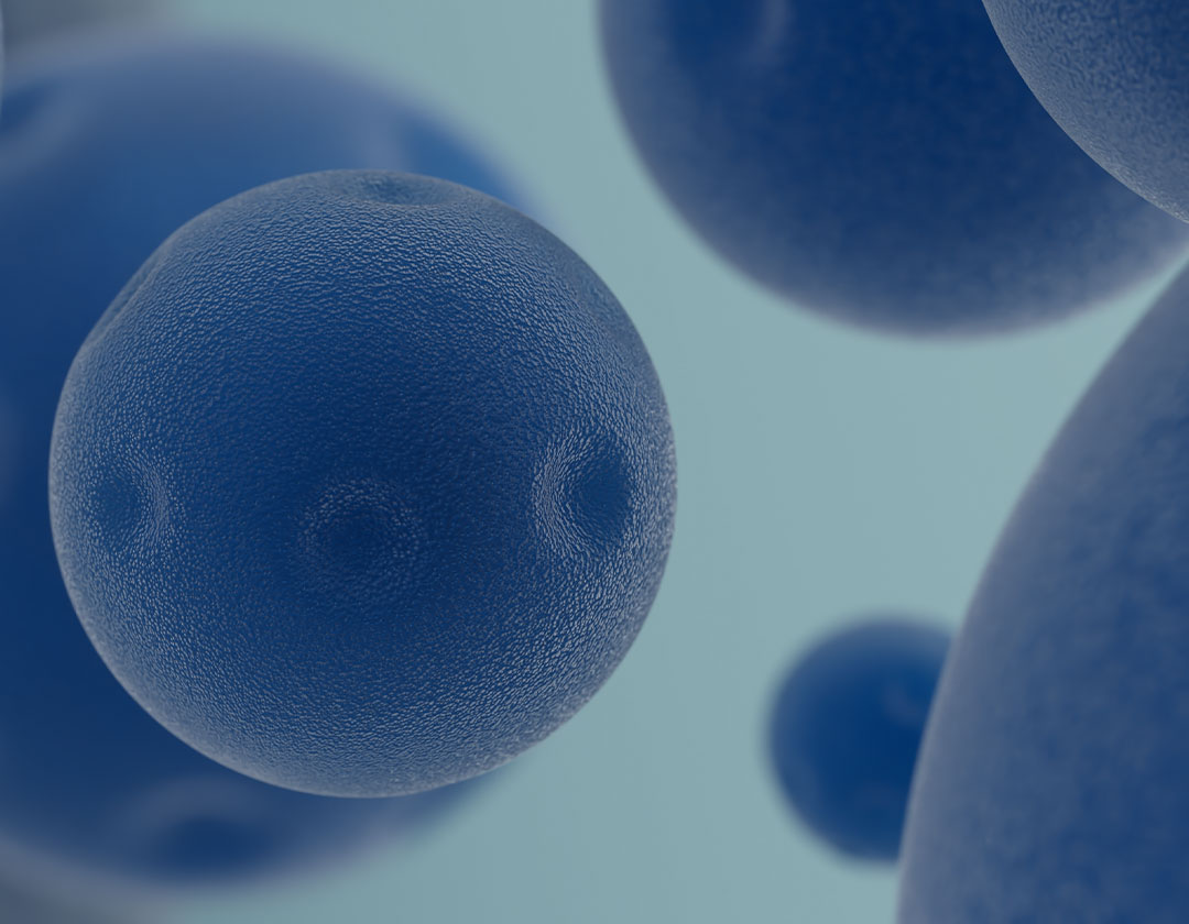 Salud Avanzada  Salud Avanzada